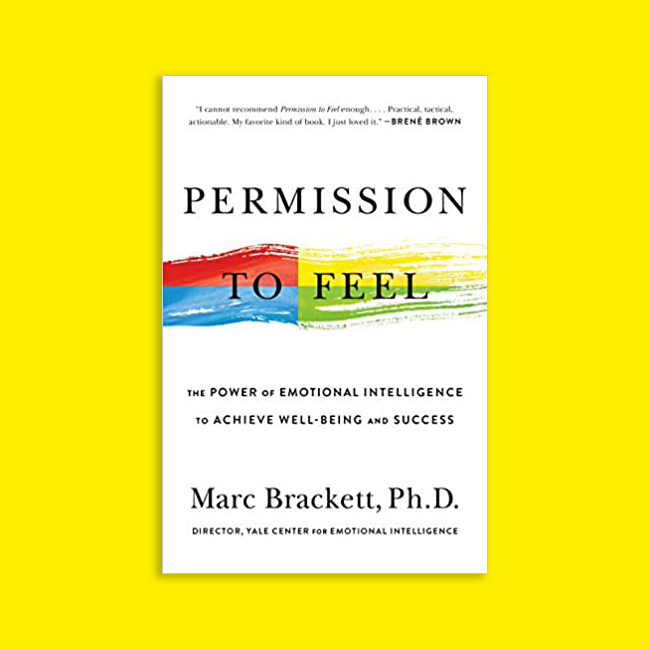 Recommended Reading For Chaplains Permission To Feel By Marc Brackett